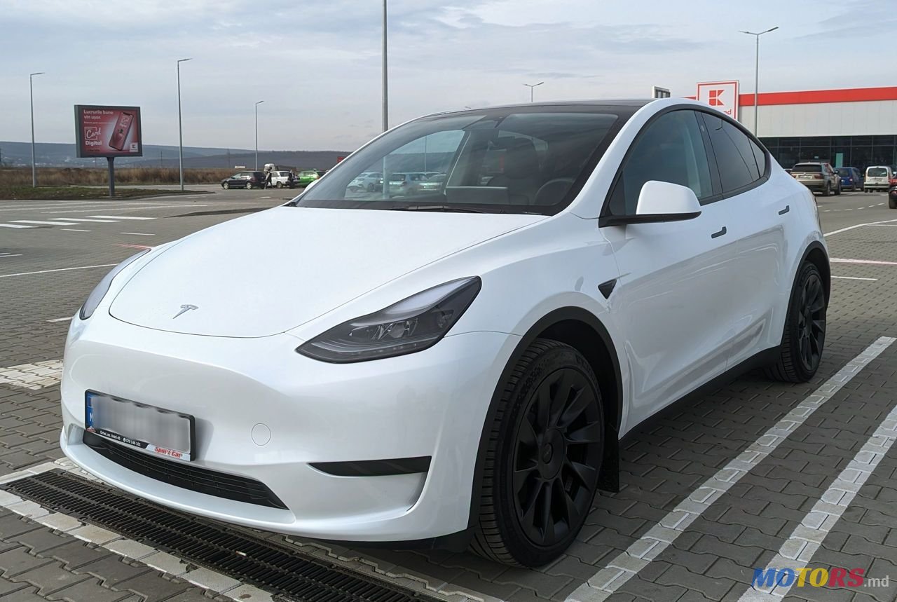 2023' Tesla Model Y photo #1