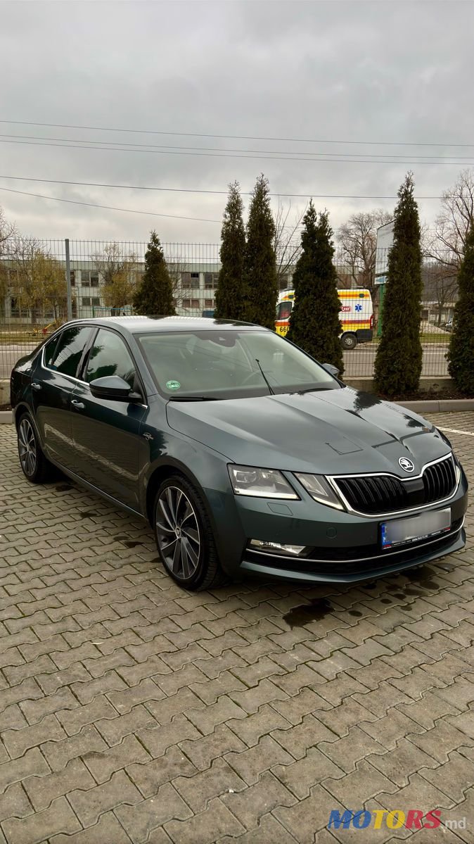 2017' Skoda Octavia photo #2
