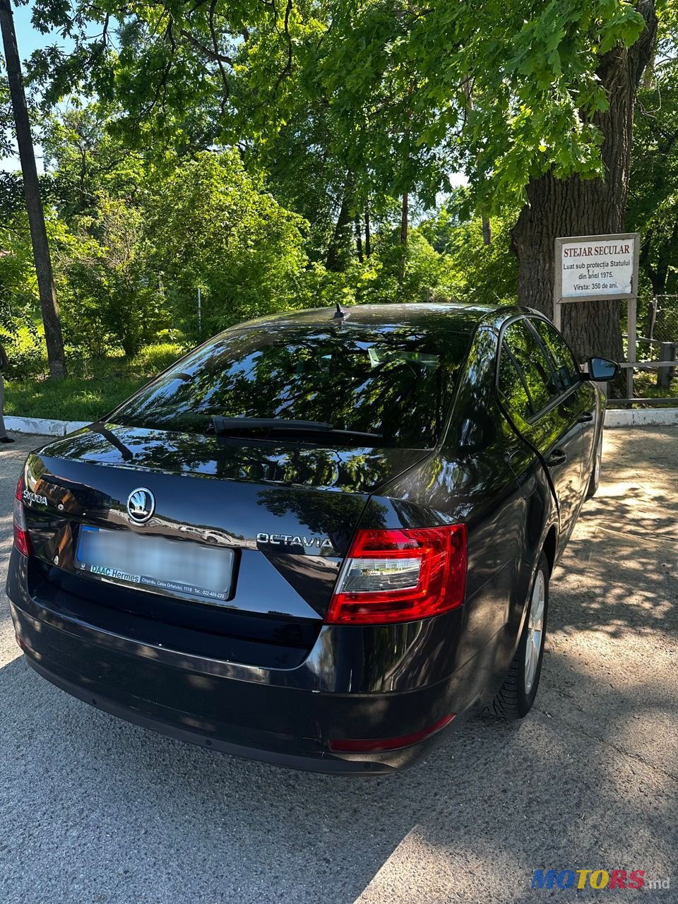 2019' Skoda Octavia photo #2