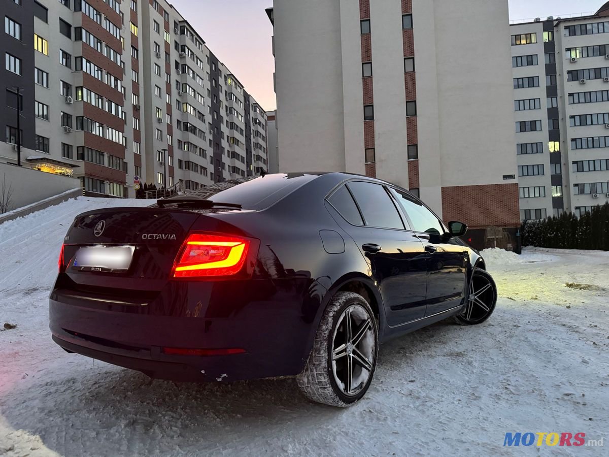 2017' Skoda Octavia photo #4