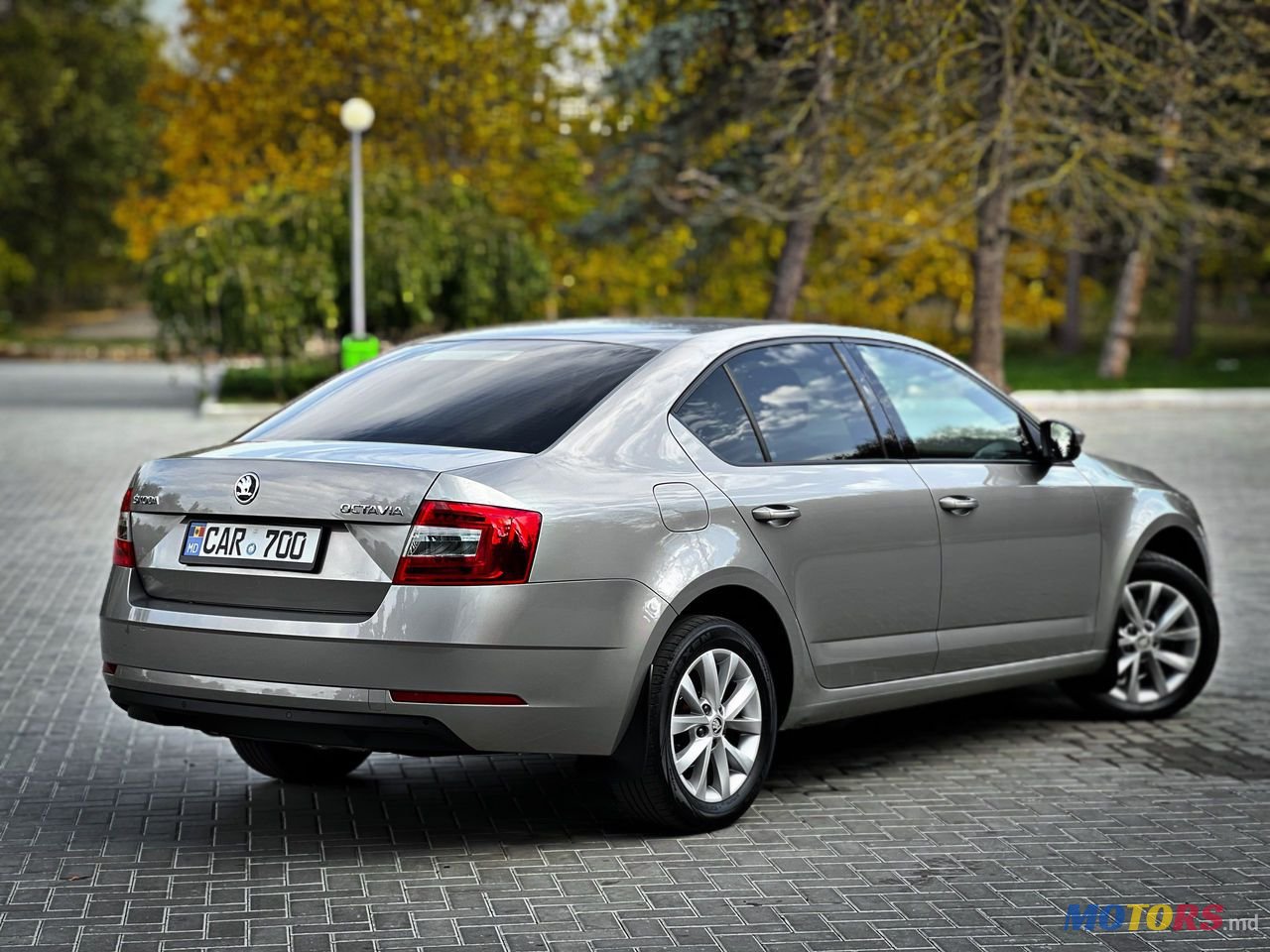 2019' Skoda Octavia photo #6
