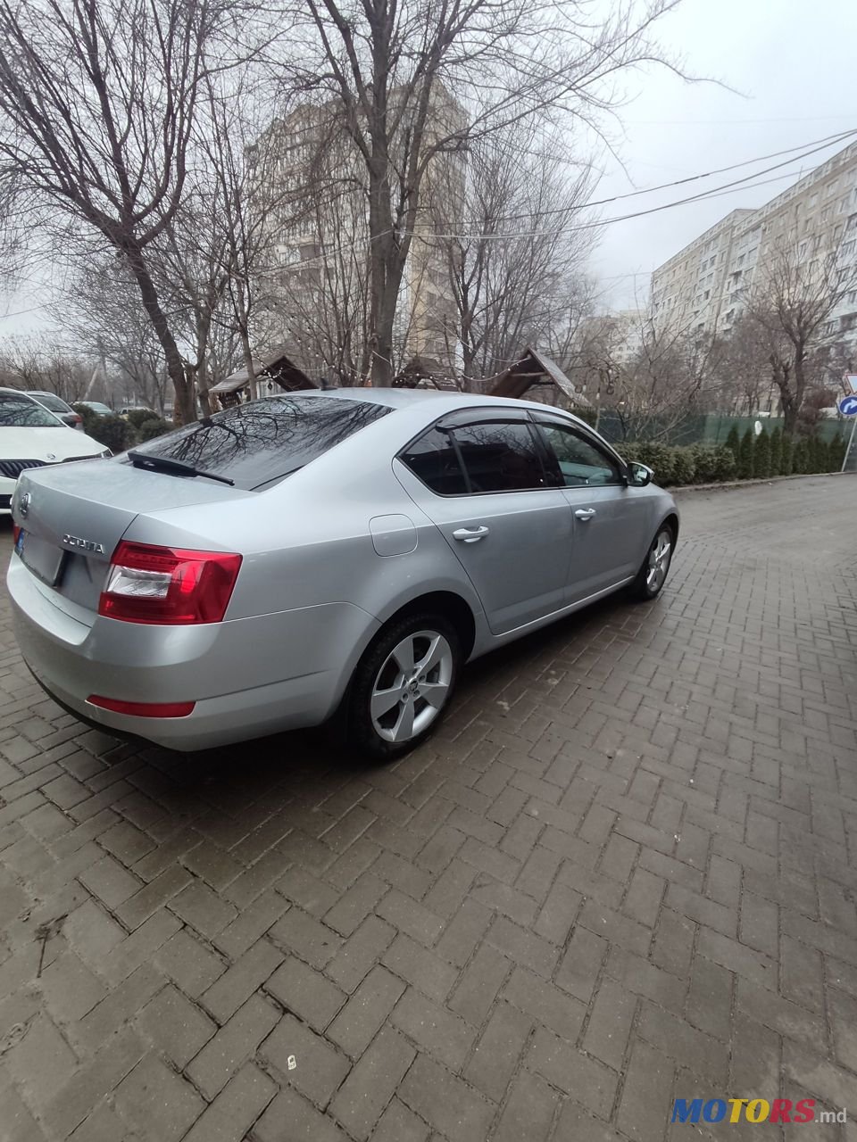 2014' Skoda Octavia photo #4
