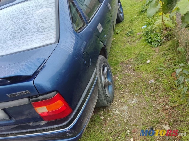 1993' Opel Vectra photo #4