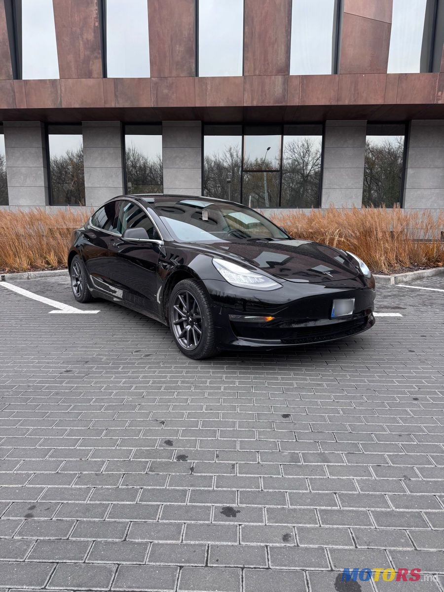 2019' Tesla Model 3 photo #2