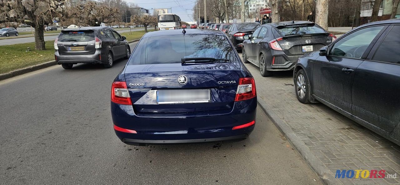 2016' Skoda Octavia photo #4
