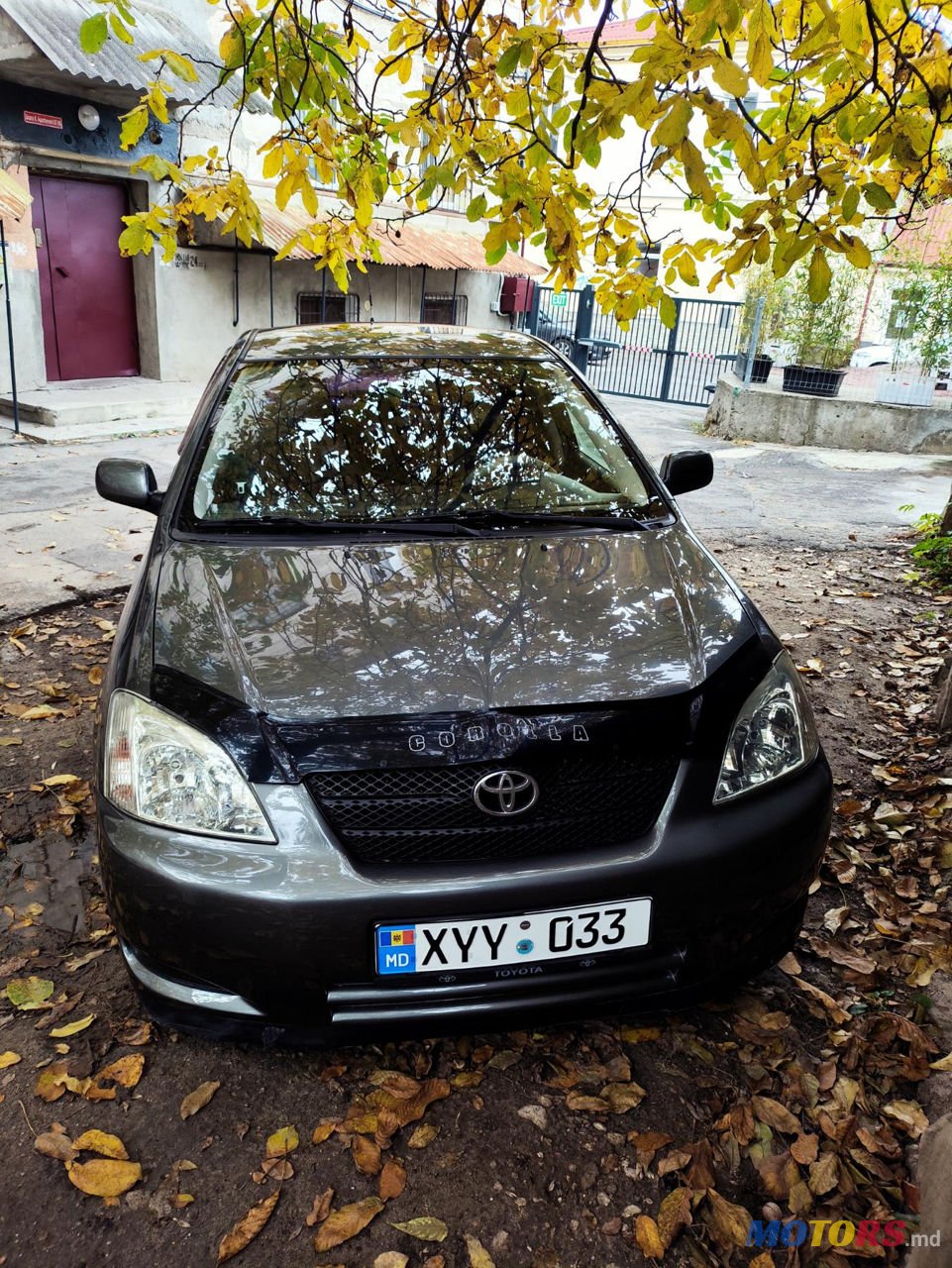 2004' Toyota Corolla photo #3