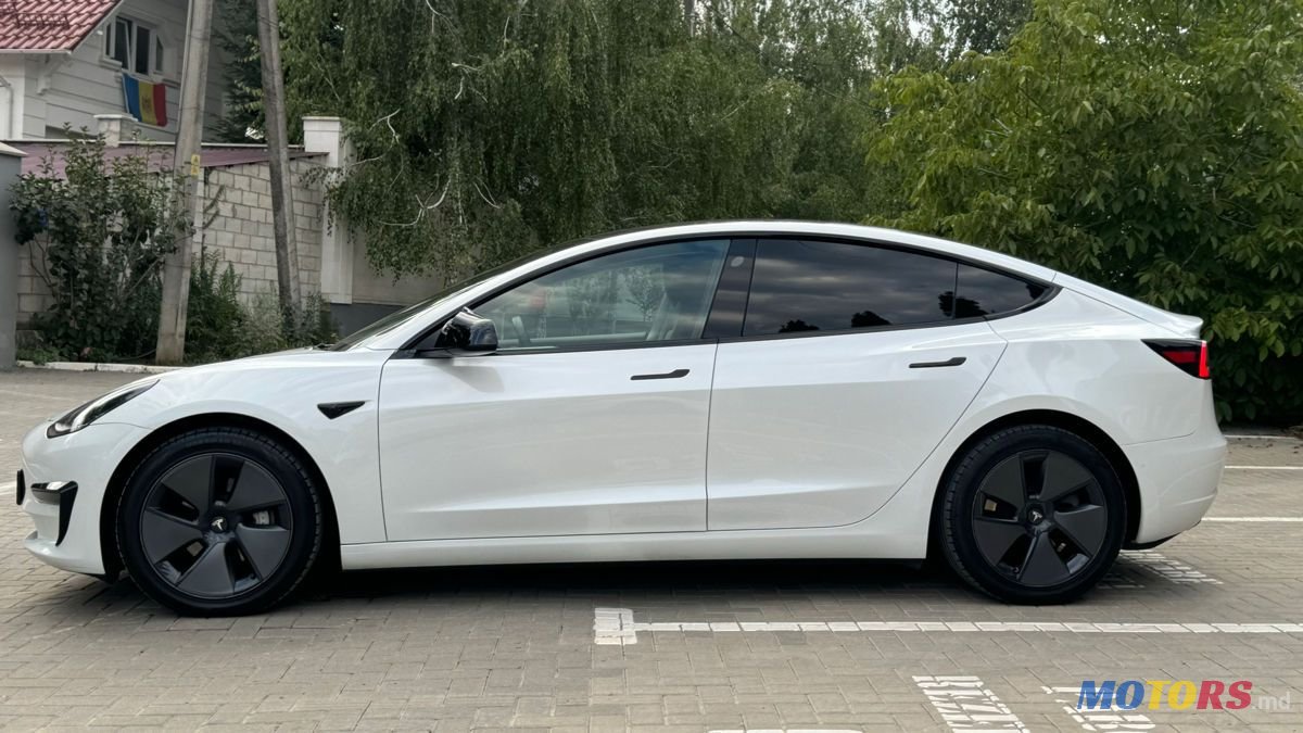 2020' Tesla Model 3 photo #4