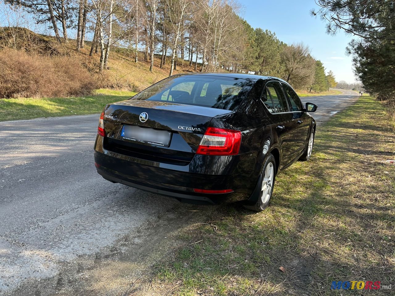 2017' Skoda Octavia photo #5
