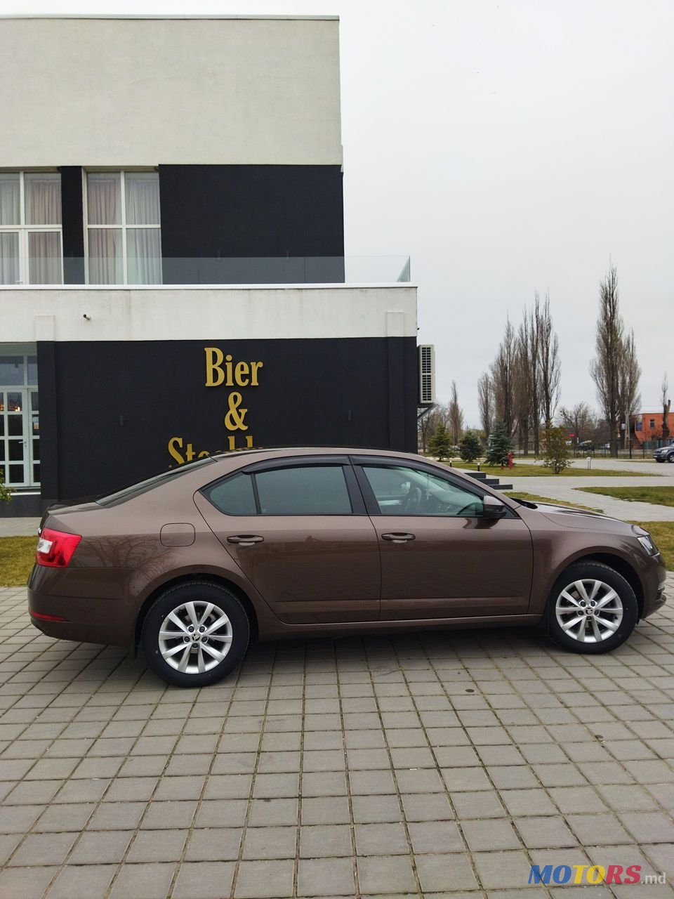 2019' Skoda Octavia photo #4