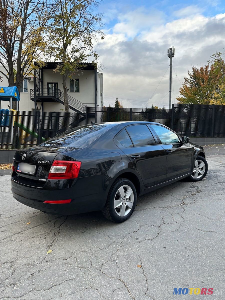 2014' Skoda Octavia photo #6