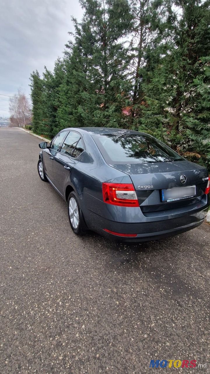 2019' Skoda Octavia photo #6