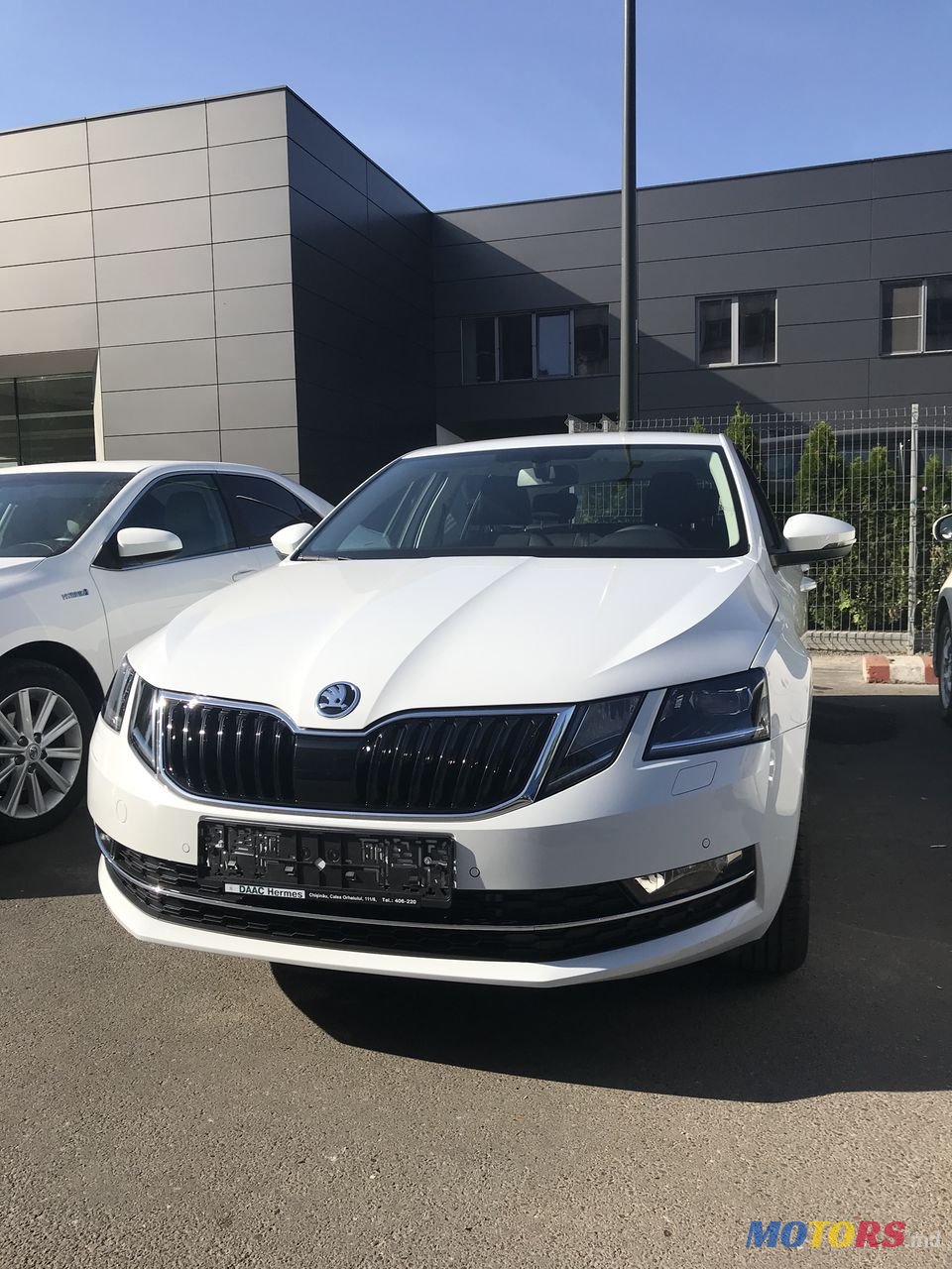 2020' Skoda Octavia photo #1