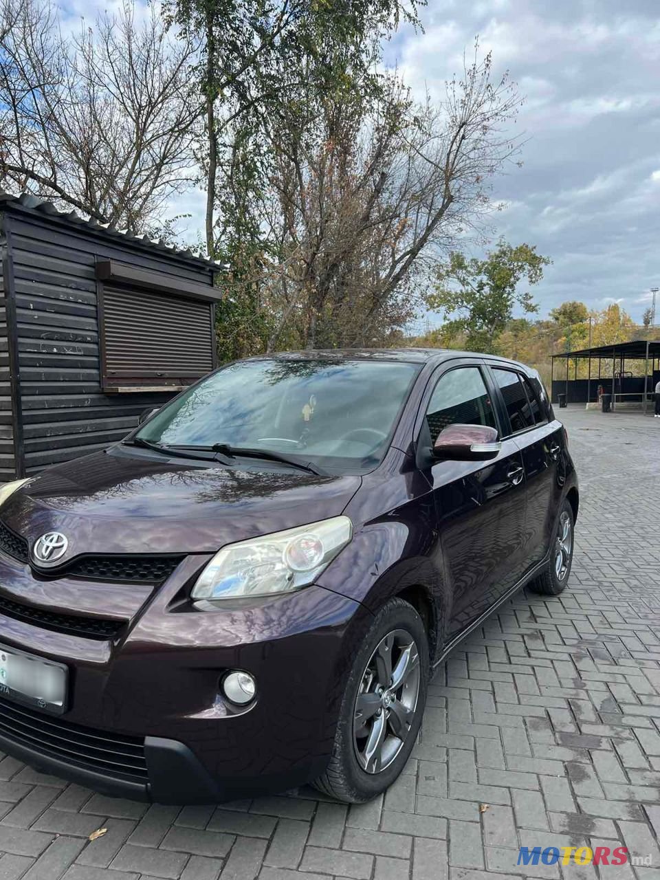 2009' Toyota Urban Cruiser photo #3