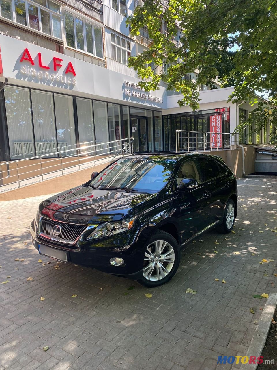 2010' Lexus Rx Series photo #2