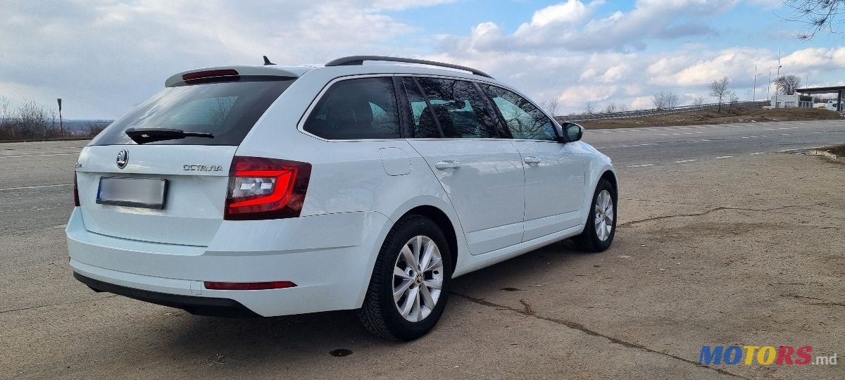 2017' Skoda Octavia photo #3