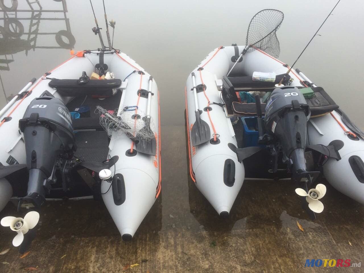 2010' Колибри photo #1