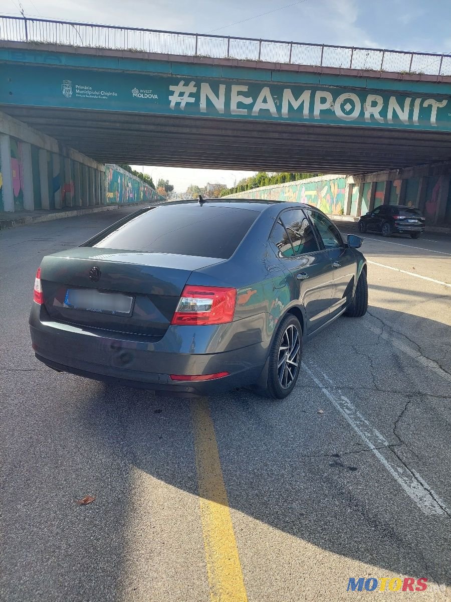 2017' Skoda Octavia photo #3