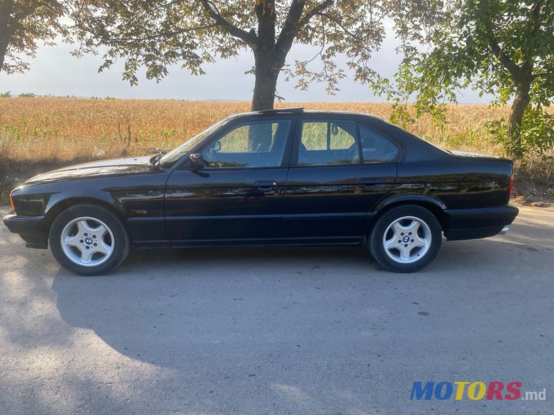 1995' BMW 5 Series photo #5