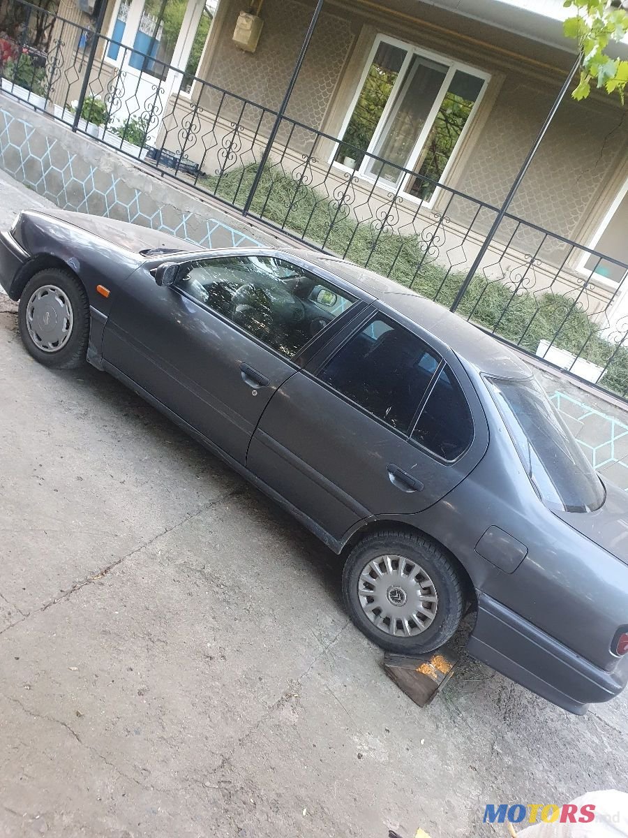 1993' Nissan Primera photo #5