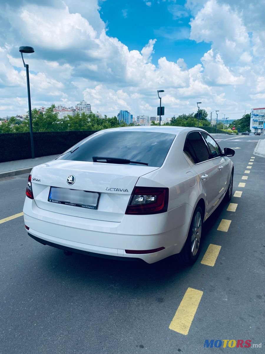 2018' Skoda Octavia photo #5
