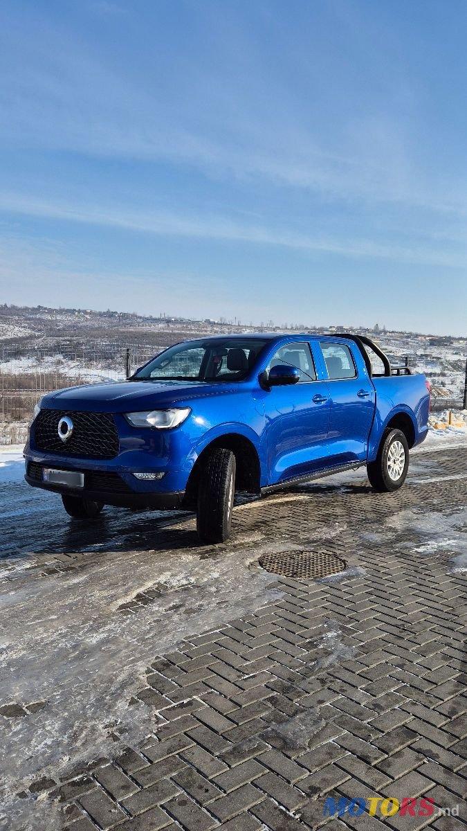 2019' Great Wall Poer photo #1