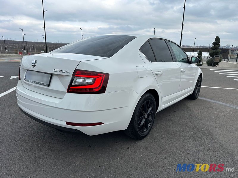 2019' Skoda Octavia photo #2