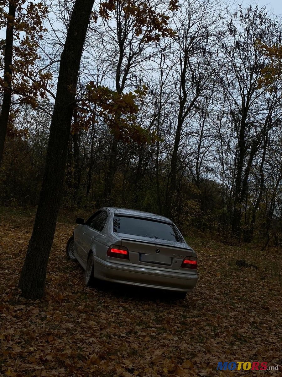 2001' BMW 5 Series photo #1