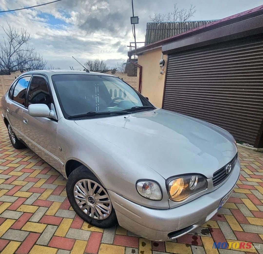 2001' Toyota Corolla photo #1