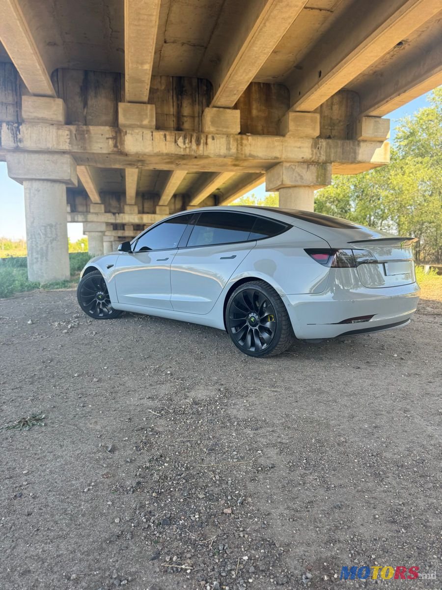 2019' Tesla Model 3 photo #5