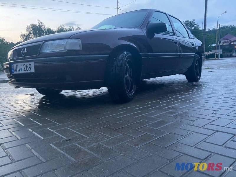 1994' Opel Vectra photo #4