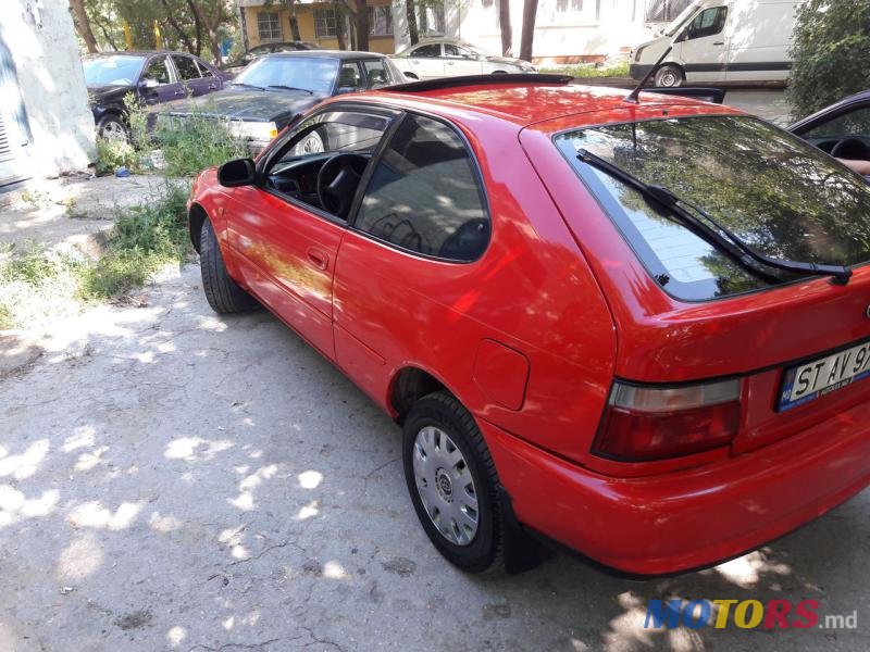 1995' Toyota Corolla photo #2