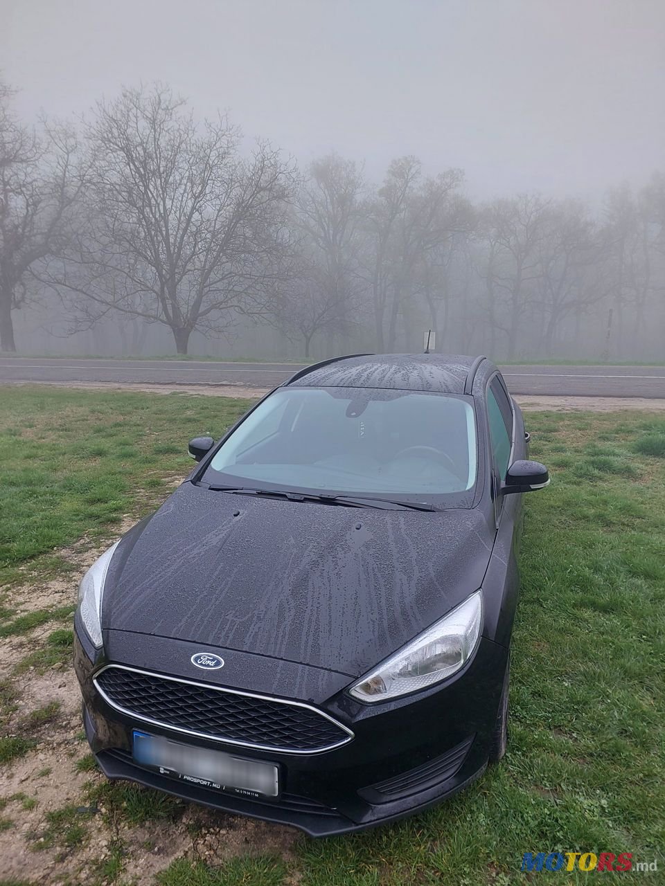 2015' Ford Focus photo #4