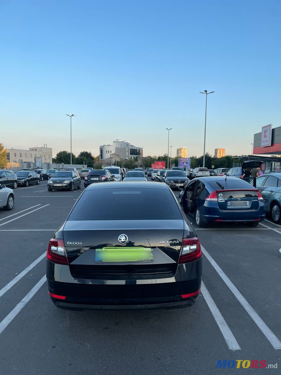 2018' Skoda Octavia photo #2
