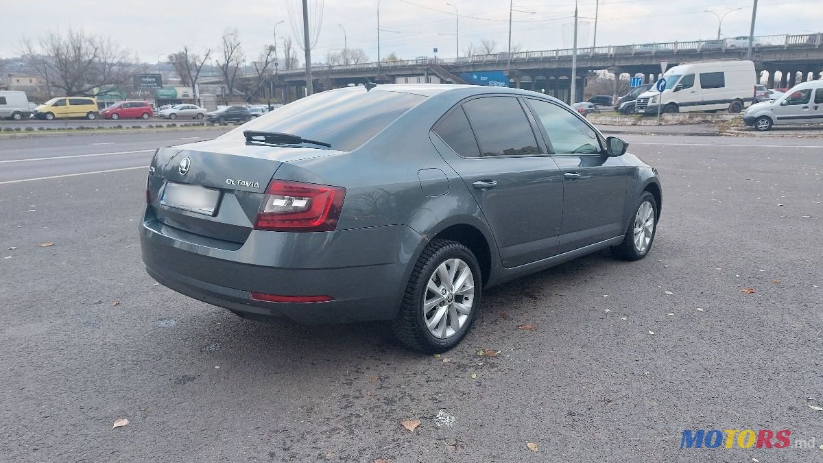 2017' Skoda Octavia photo #3