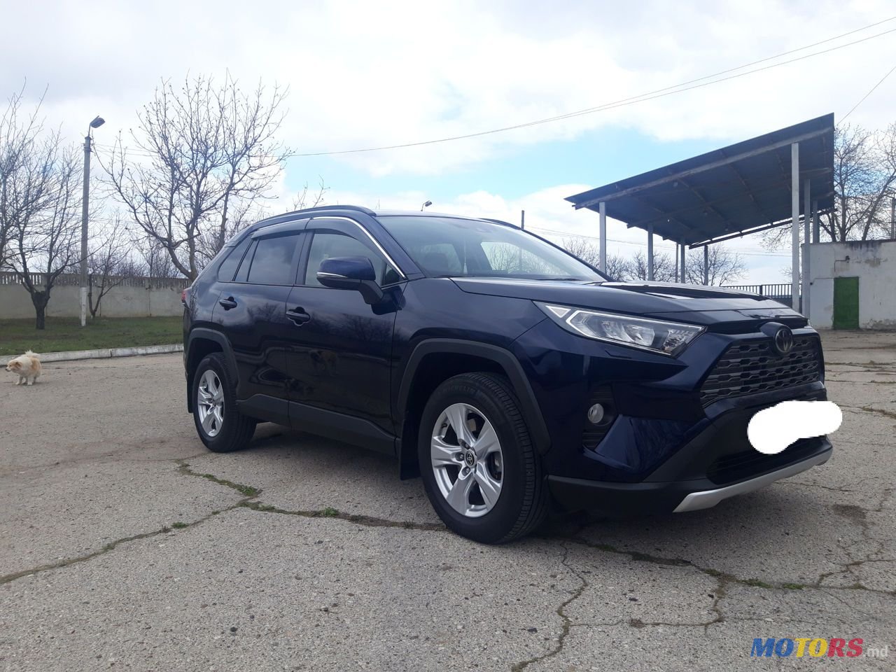2020' Toyota RAV4 photo #3