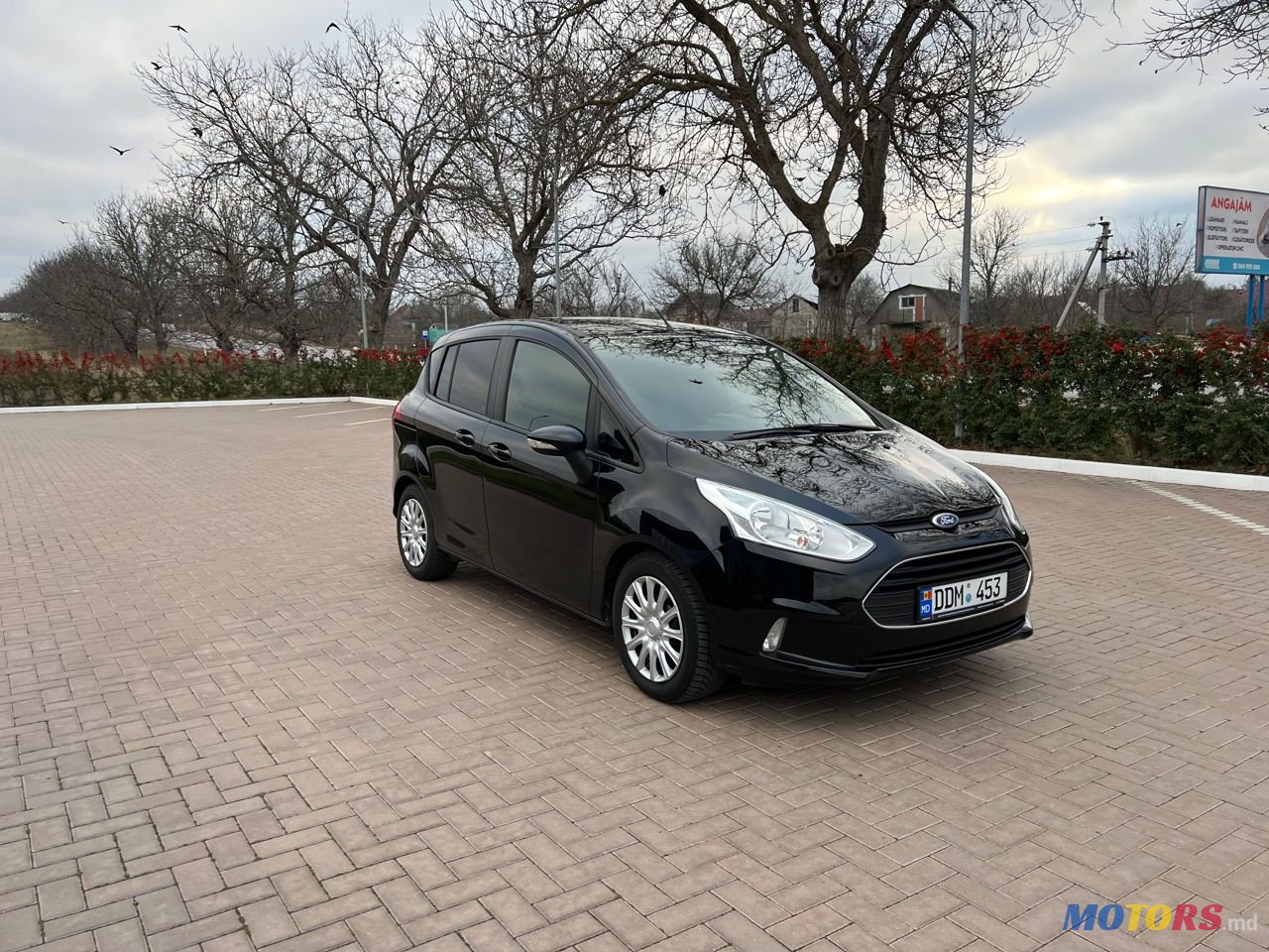 2013' Ford B-MAX photo #2