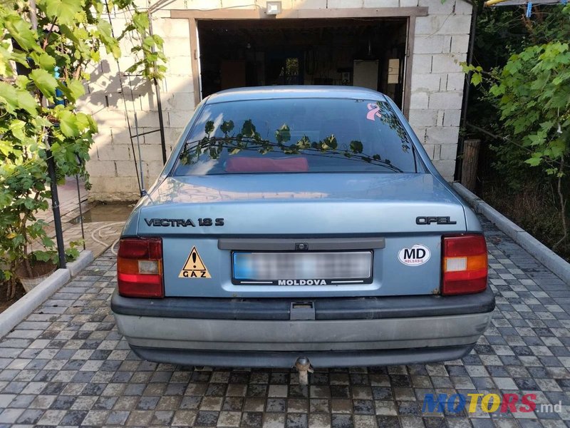 1989' Opel Vectra photo #5