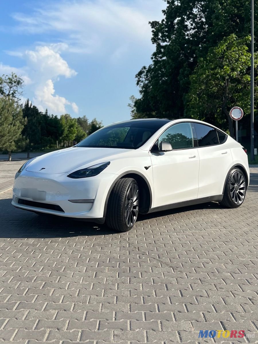 2023' Tesla Model Y photo #1