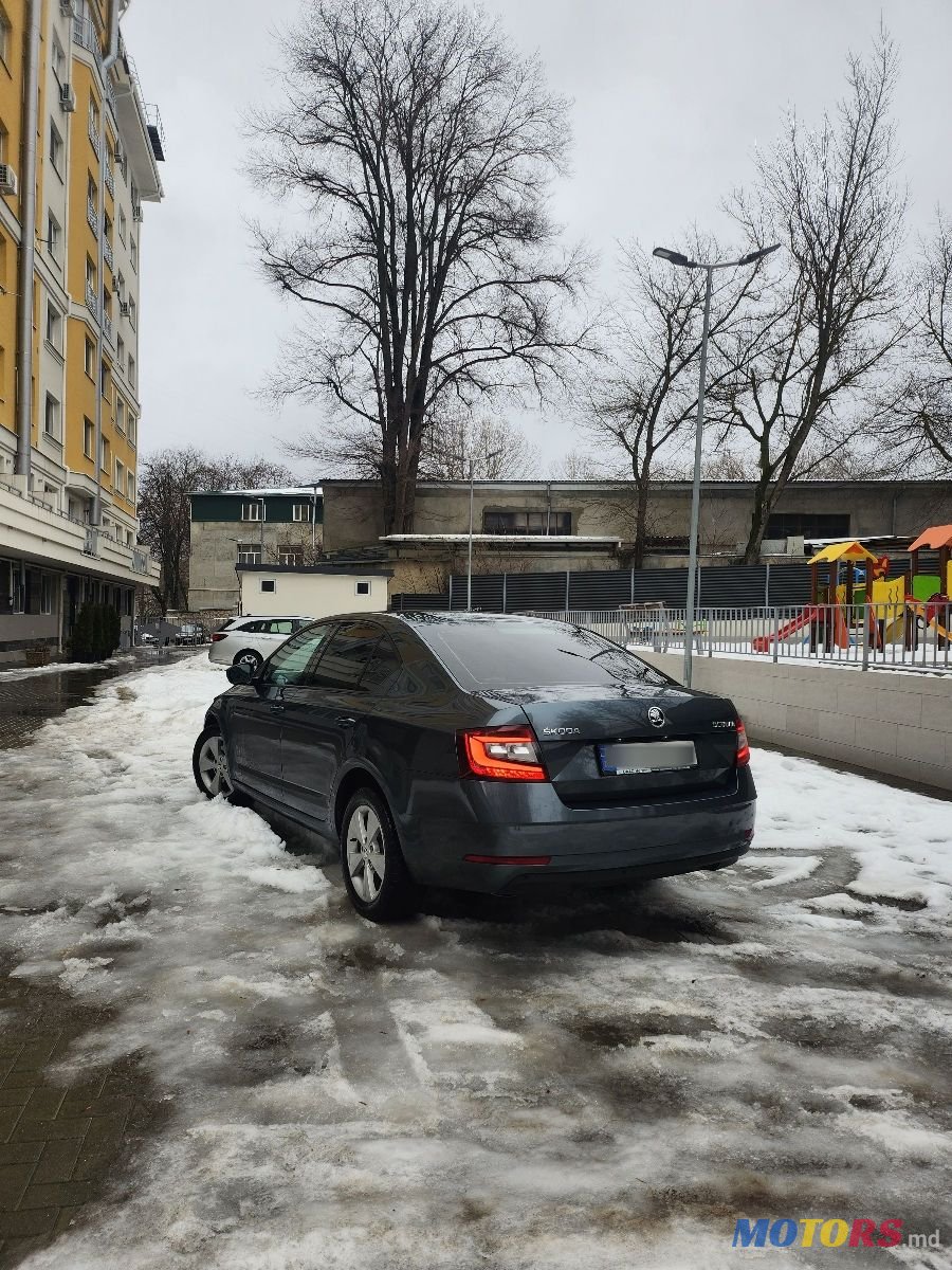 2017' Skoda Octavia photo #4
