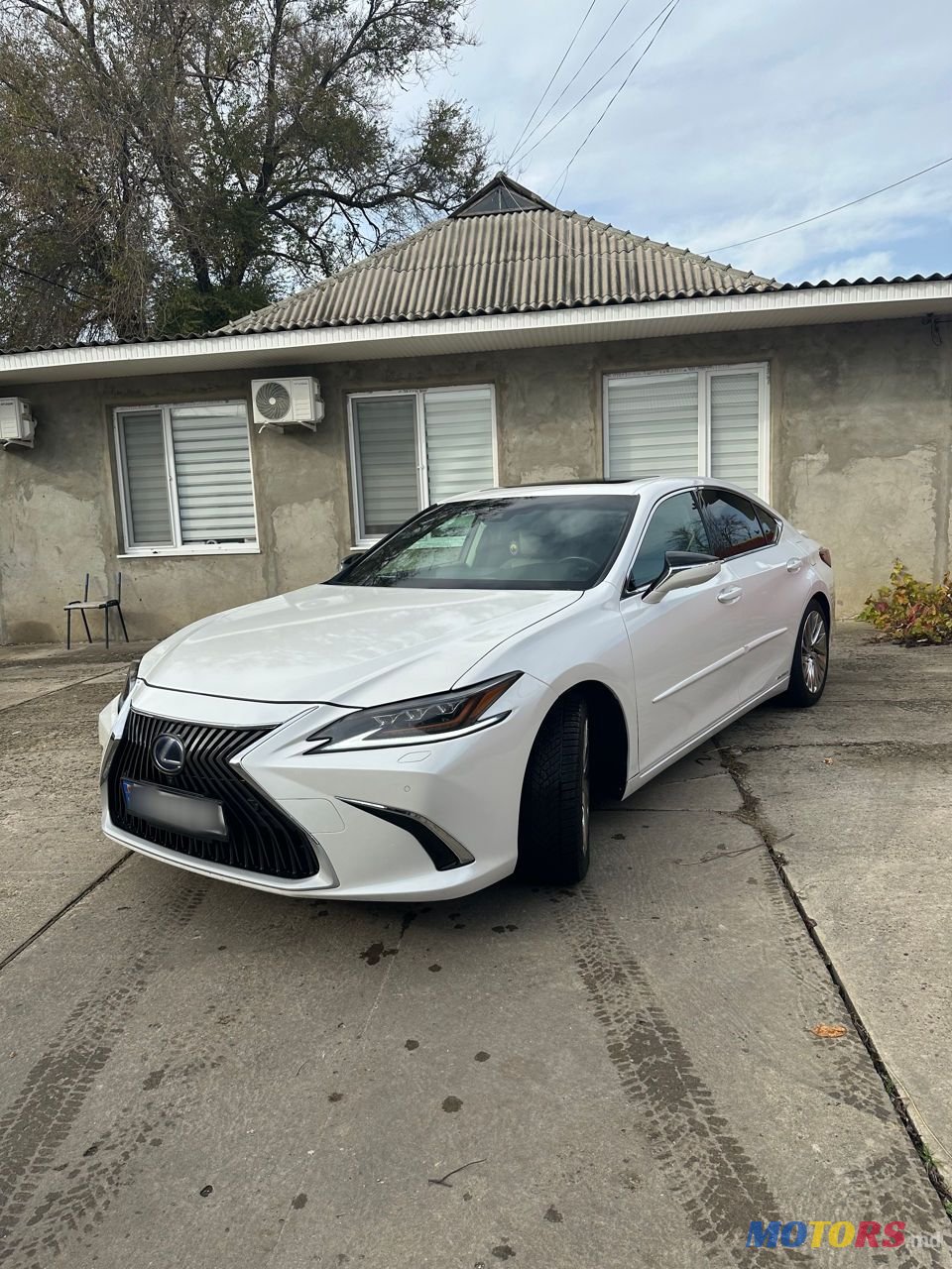 2020' Lexus Es Series photo #3