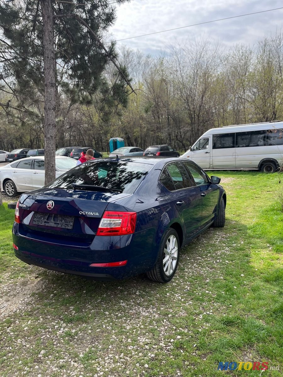 2015' Skoda Octavia photo #4
