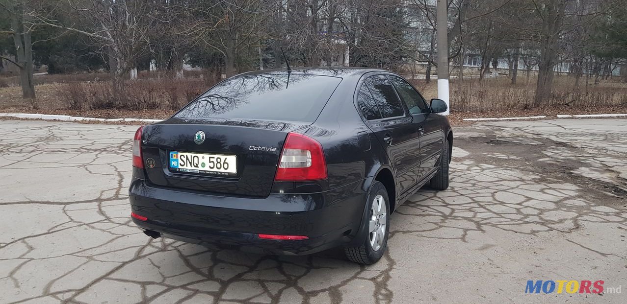 2010' Skoda Octavia photo #3