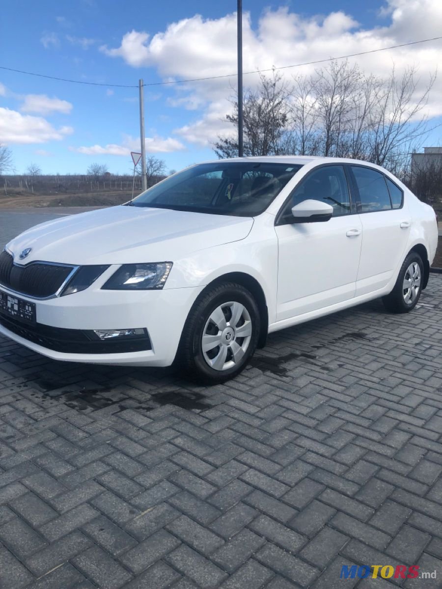 2018' Skoda Octavia photo #2