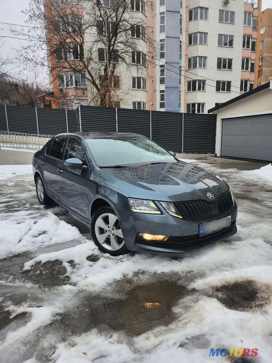 2017' Skoda Octavia photo #2