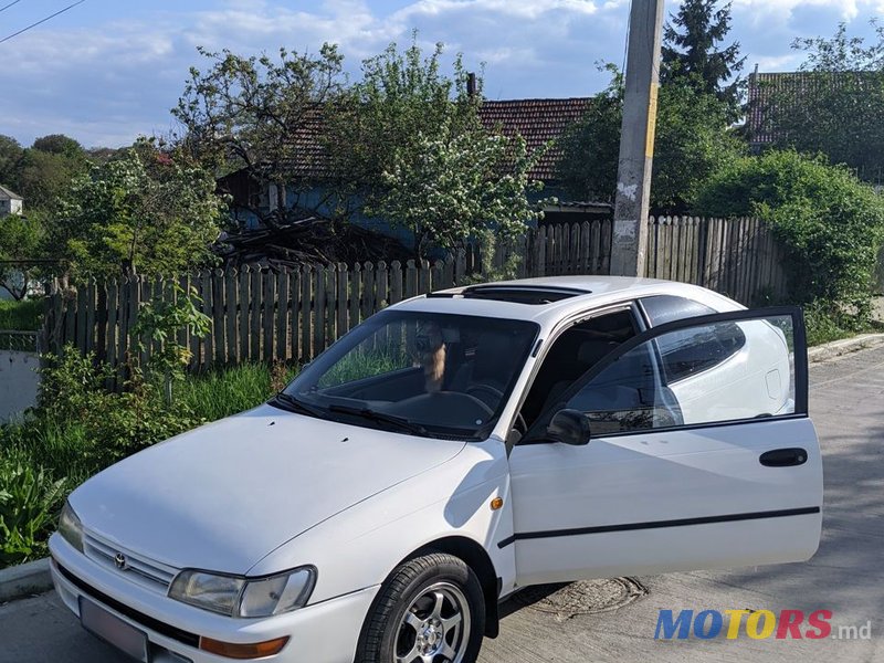 1995' Toyota Corolla photo #1