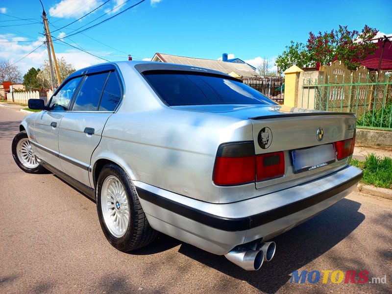 1995' BMW 5 Series photo #6