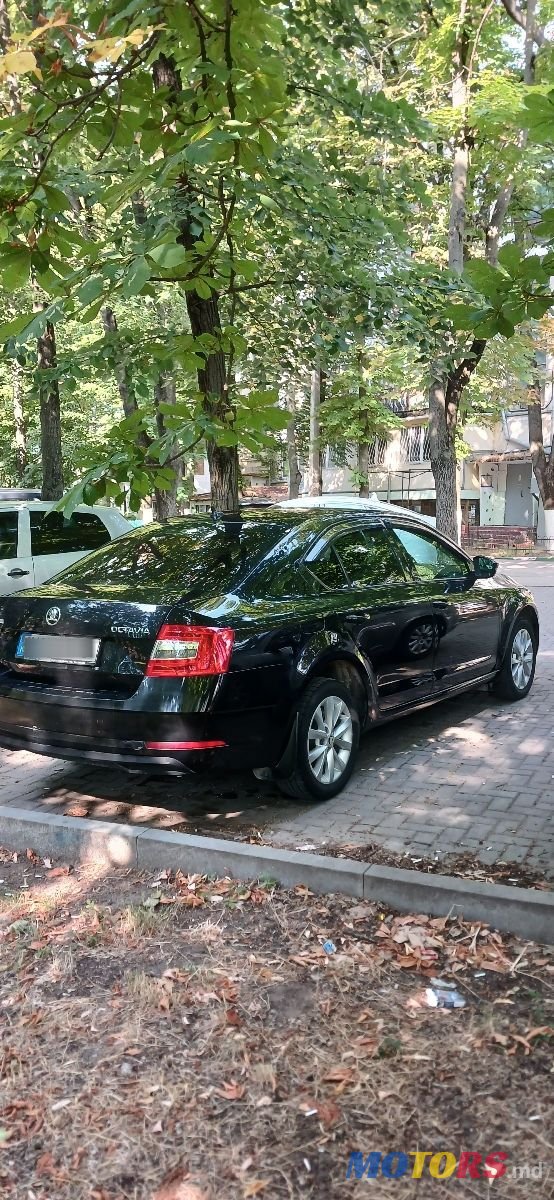 2019' Skoda Octavia photo #3