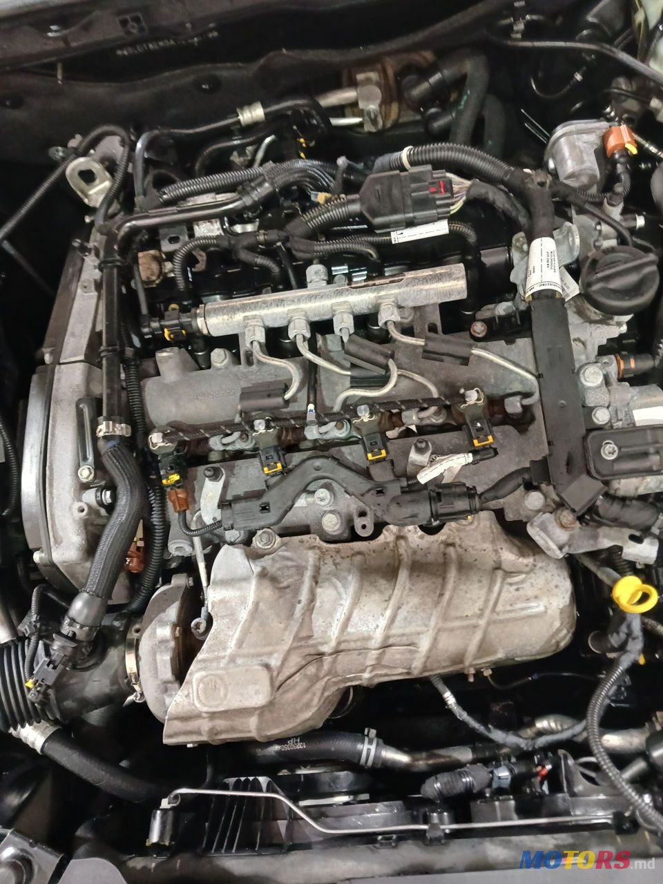 2010' Opel Insignia photo #4