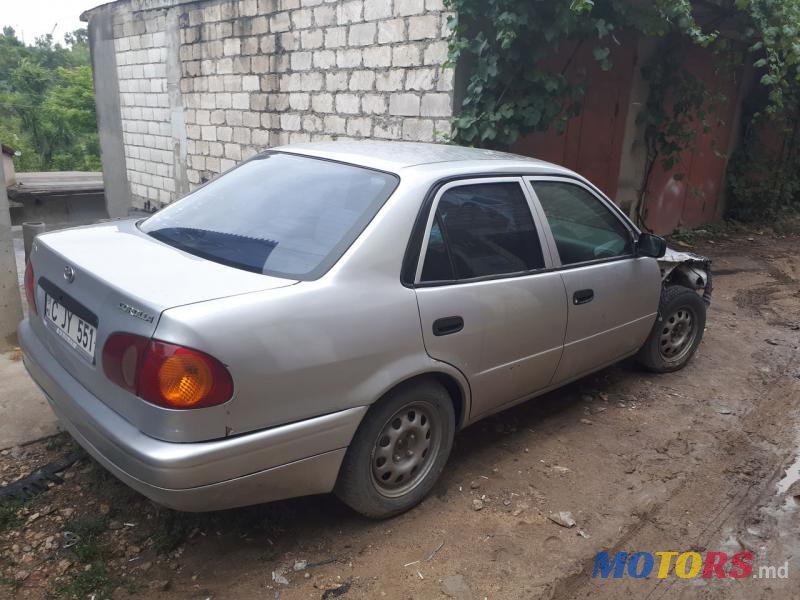 2001' Toyota Corolla photo #1