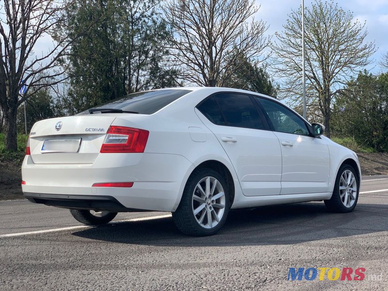 2014' Skoda Octavia photo #6